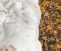 pościel_muślinowa_motylki_13.gif