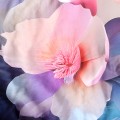 posciel_satynowa_220x200_12423-4.jpg