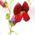 posciel_bawelna_71507_6.jpg