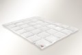 Kołdra Puchowa Paradies Moonline  (Silverline)  Medium 200x200 - całoroczna